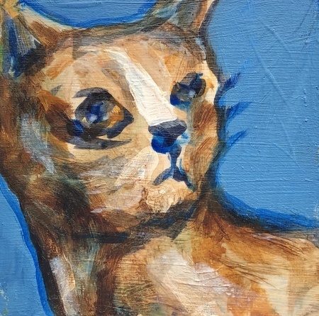 Catfriend (4)