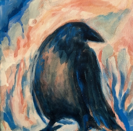 Curious Raven
