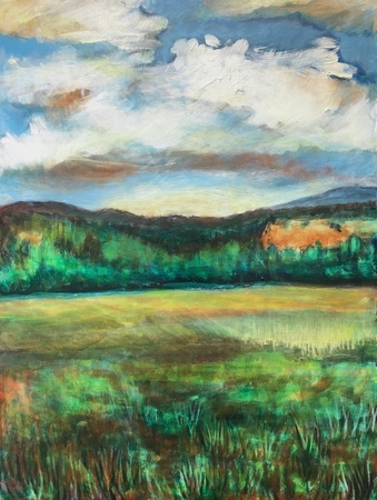 Open Field