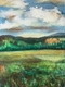 Open Field