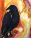 Raven VIII