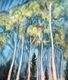 Trees At Land Of Plenty
